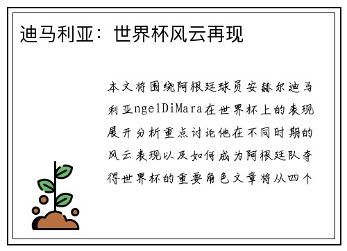 迪马利亚：世界杯风云再现